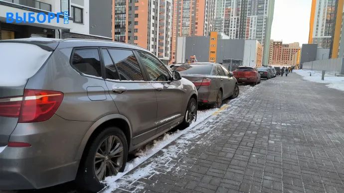 Прогноз погоды на 24 февраля – 2 марта в Петербурге