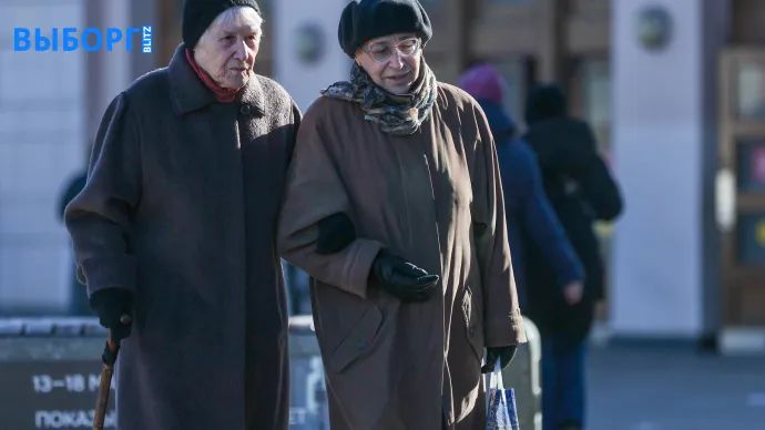 Минимальный уровень пенсий с 2017 года: как живут пенсионеры в Ленобласти