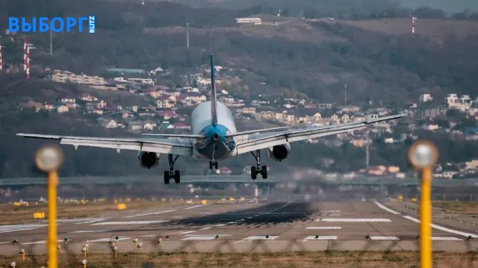 Роспотребнадзор напоминает жителям Выборга: авиакомпании могут включать скрытые доплаты