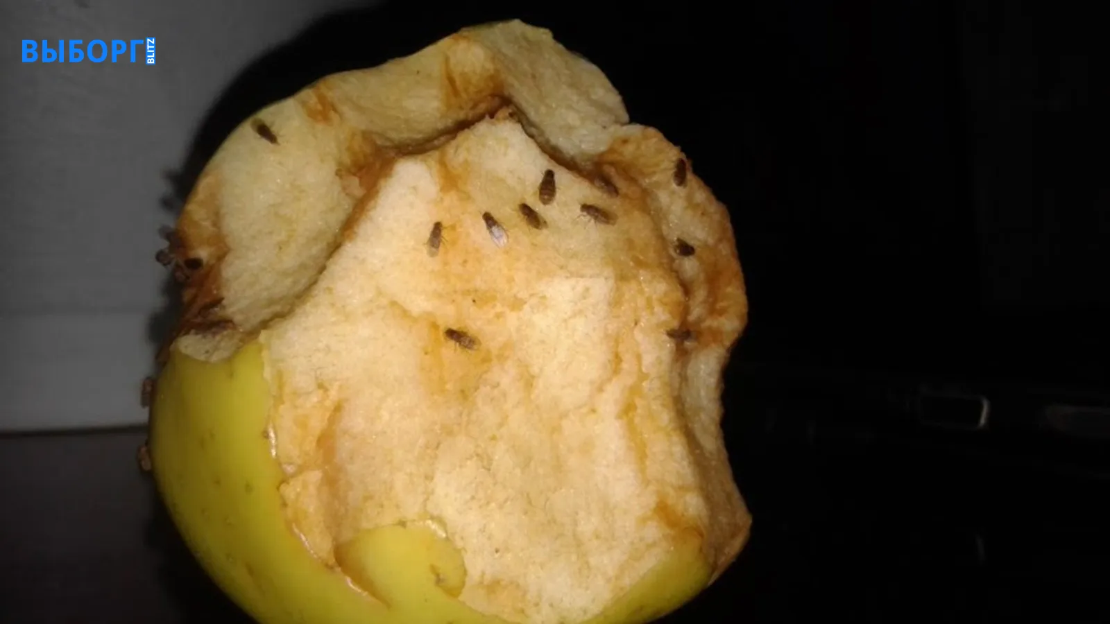 Мошки на яблоке