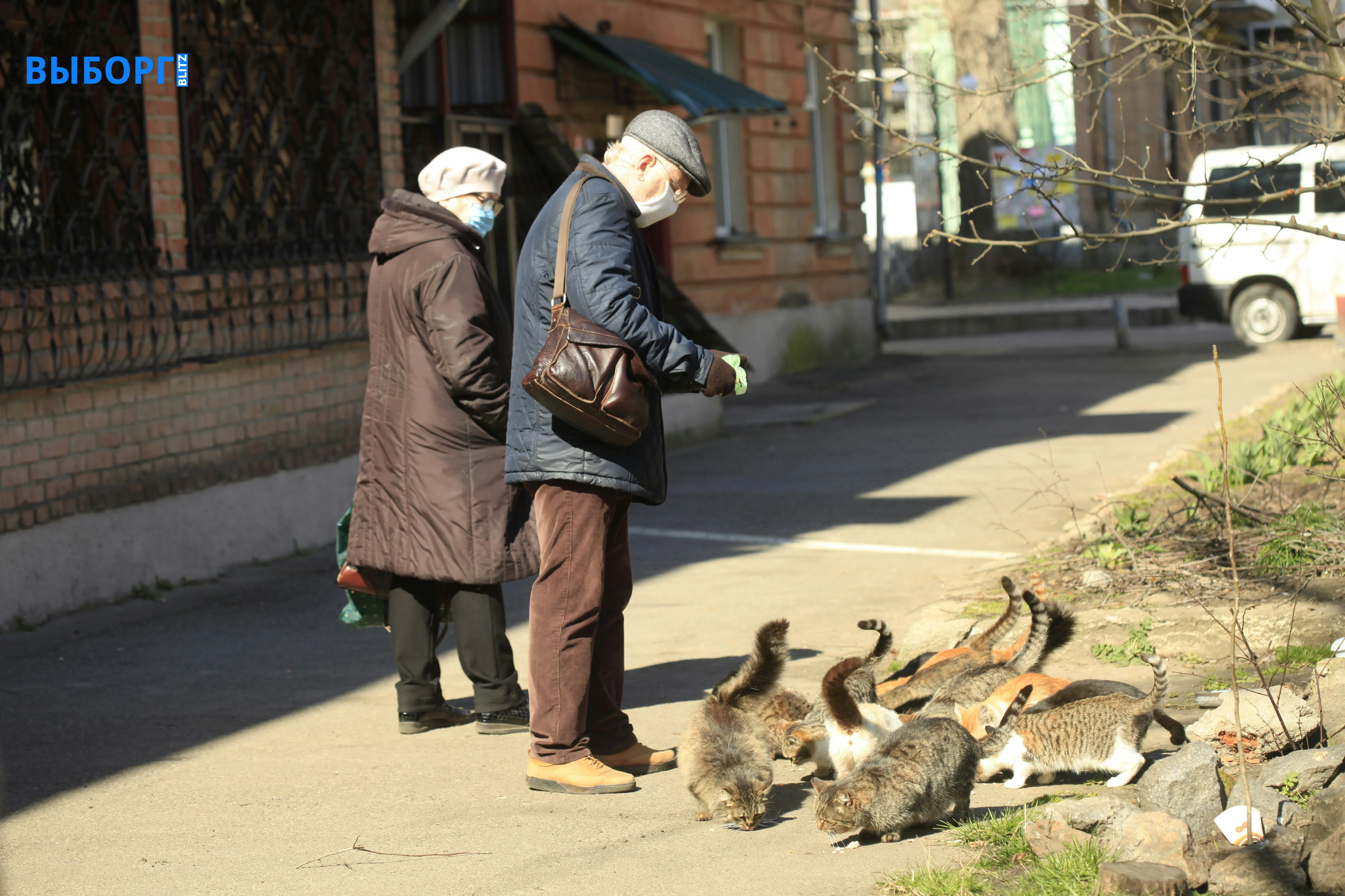 Пенсионеры