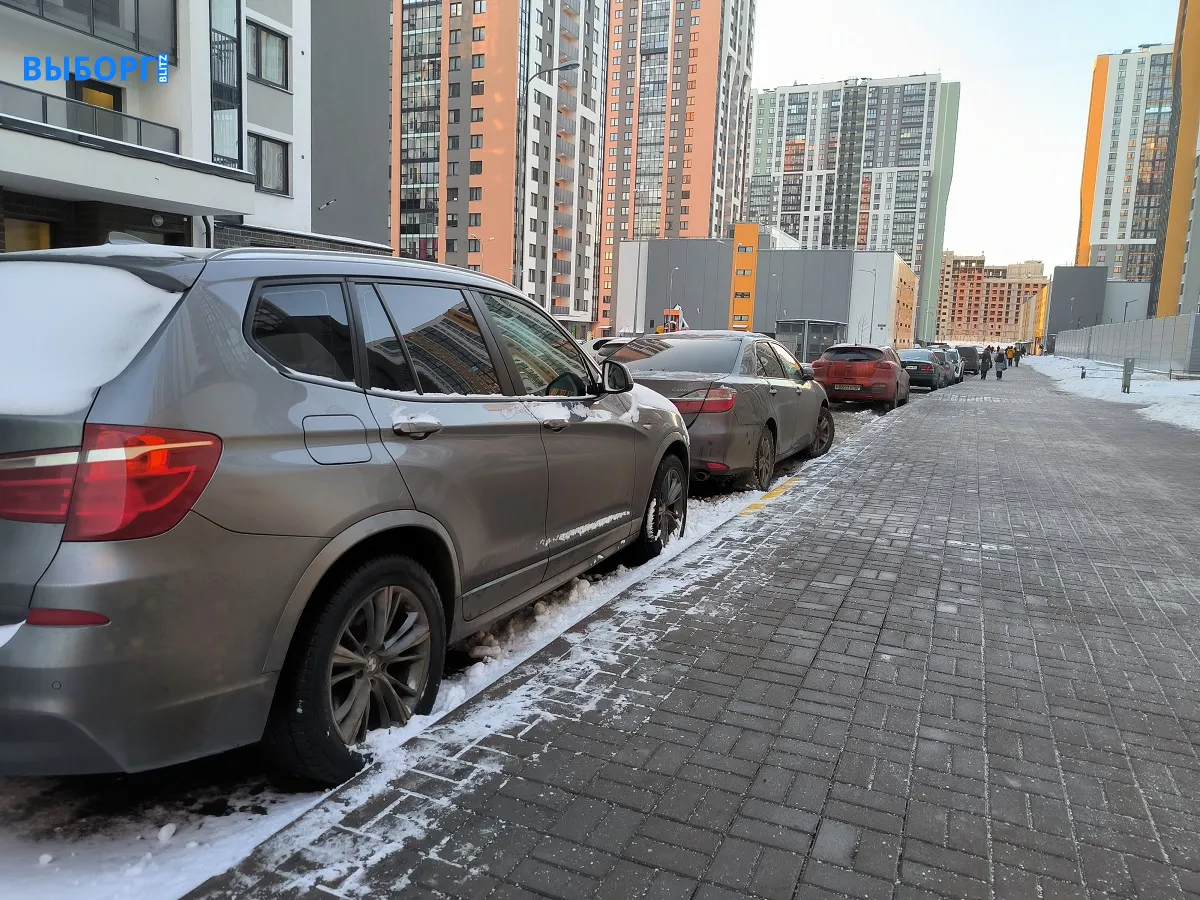 Прогноз погоды на 24 февраля – 2 марта в Петербурге