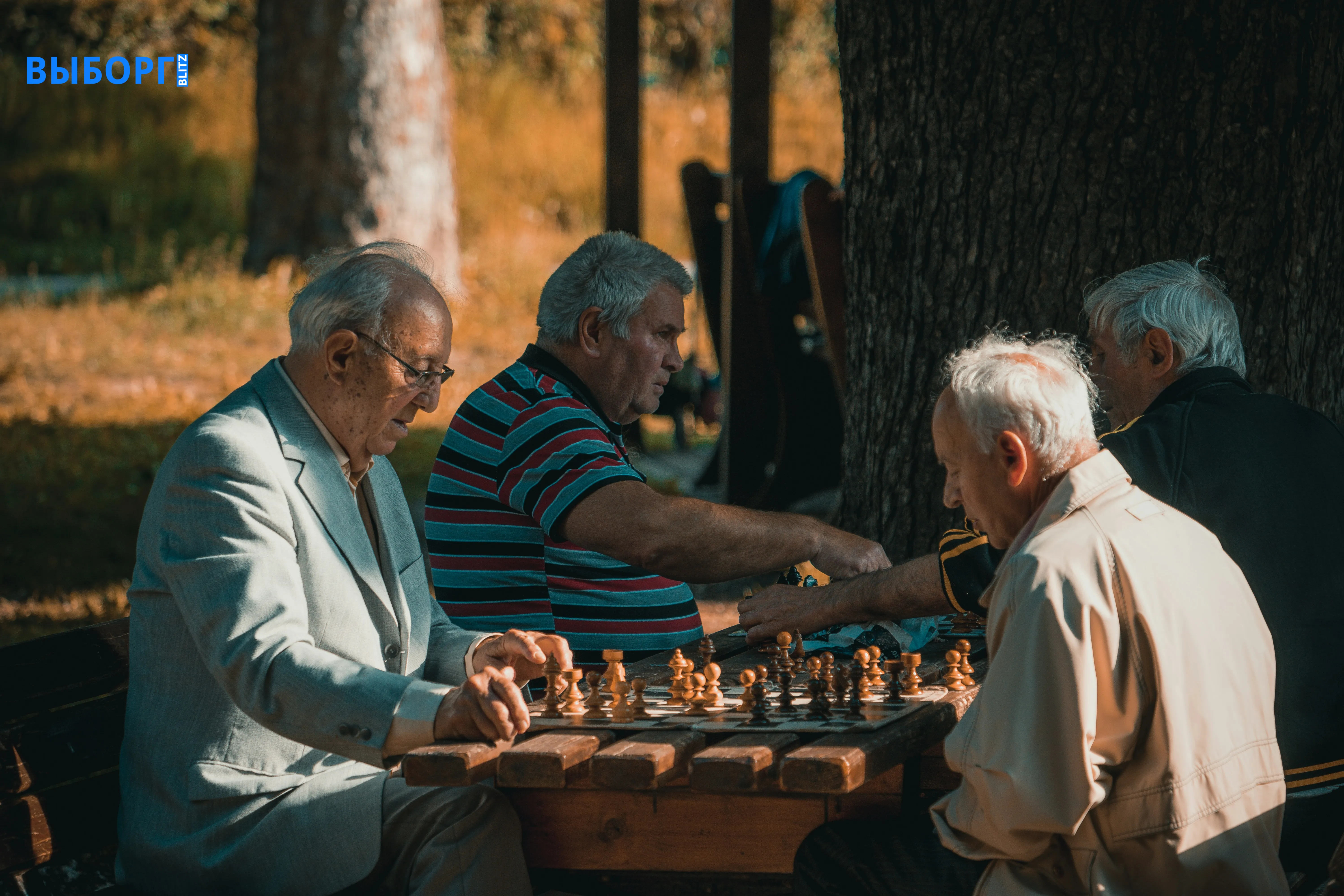 Пожилые люди, шахматы